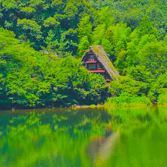 TAMAKOアイコン画像