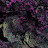 @Snirble's avatar