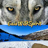 0x8thvwM0zE-channel-avatar-Gaia Wild Spirit