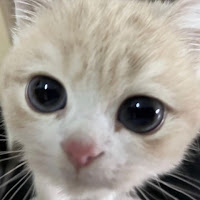 CH3RRYCUT3 profile image