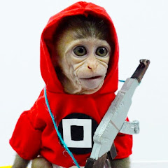 Animals Home Monkey avatar