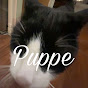 Puppe