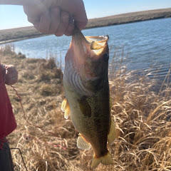 eastonfishes