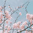 @부자-m9q