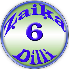 Zaika Dilli 6 avatar