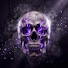 szdxL2LwhCo-channel-avatar-Maihamagallery
