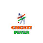 Cricket Fever  logo