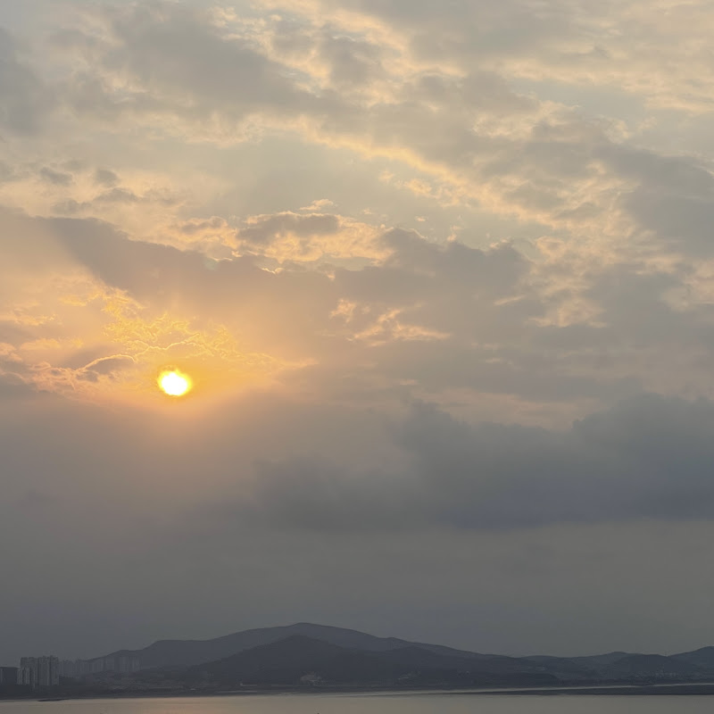초창기