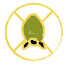 2jnmSYhEyJM-channel-avatar-Sliver of Snail