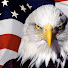 fC2tVxdGbwM-channel-avatar-Flagler America