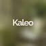 lnGrx7MwnF4-channel-avatar-Kaleo Global