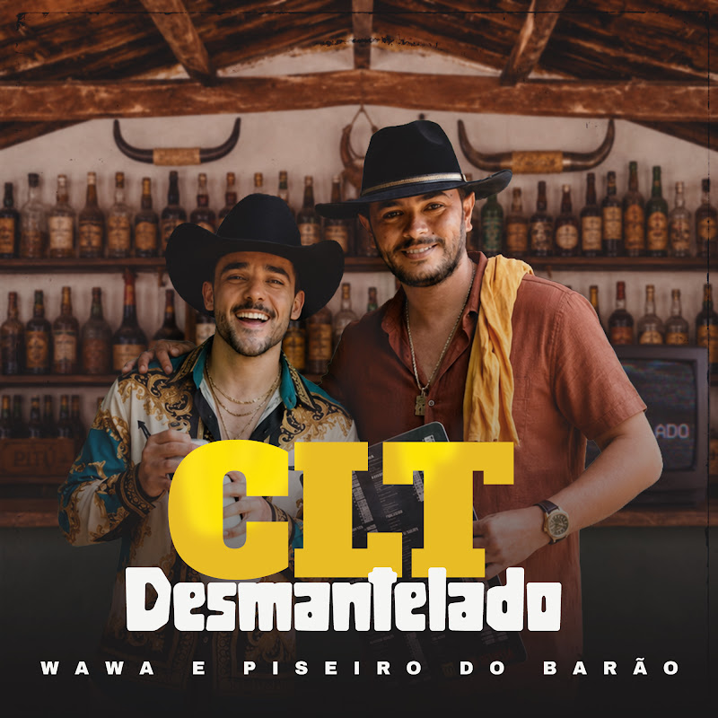 piseiro do barão - Topic