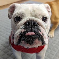 おはようぶるまる!それ行けまるこ！