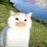 rQUCtcUuTyE-channel-avatar-Drama Pendek Viral