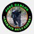 -lxqWq1P4nE-channel-avatar-Jose Carlos ,animais selvagens. 