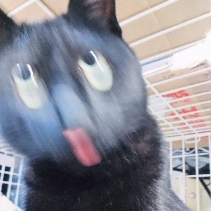 이웃집 고영희씨