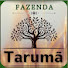 UvkXk3RrlRE-channel-avatar-Fazenda Tarumã