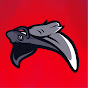 Also RGS Avatar