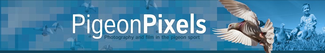 Pigeon Pixels YouTube channel avatar