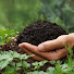 -tT3QjfJTyM-channel-avatar-Manuel Angerer - Temperate Climate Permaculture