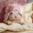 k6_ZwzNIk3o-channel-avatar-sleepytiredasmr
