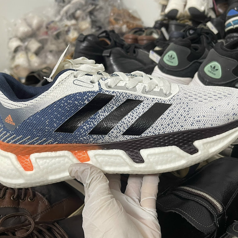 Giày si Hoàng Tân