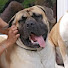 Fwt0lqZ6el8-channel-avatar-Moments with Charlie 