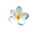 @sagda_ahmeddd