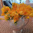 @user-pf5vp6nl3y