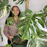 J5Utq-YhH1M-channel-avatar-My Plant Album