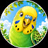 xQia7x_SJdg-channel-avatar-Budgie Language