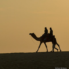 Channel thumbnail for Deserts life