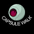 vJ67w46n6QQ-channel-avatar-Capsule walk 