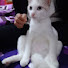 QtonB6B1vBk-channel-avatar-Aliff