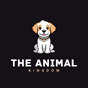 The Animal Kingdom USA