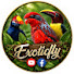 2XkVvS-_V0A-channel-avatar-EXOTICFLY TV