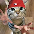 X2gfrgJdPMg-channel-avatar-kittycat123