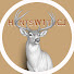 GNFAhJKypCU-channel-avatar-HuntsW1thCJ
