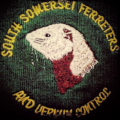 South Somerset Ferreters Fieldsports Channel