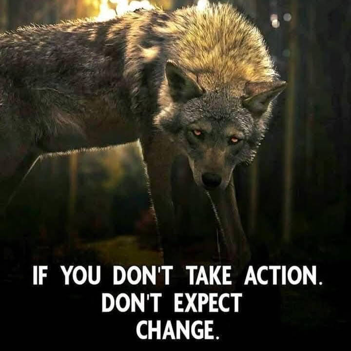 Post from Wolf Mindset