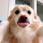 @수면상태one.998