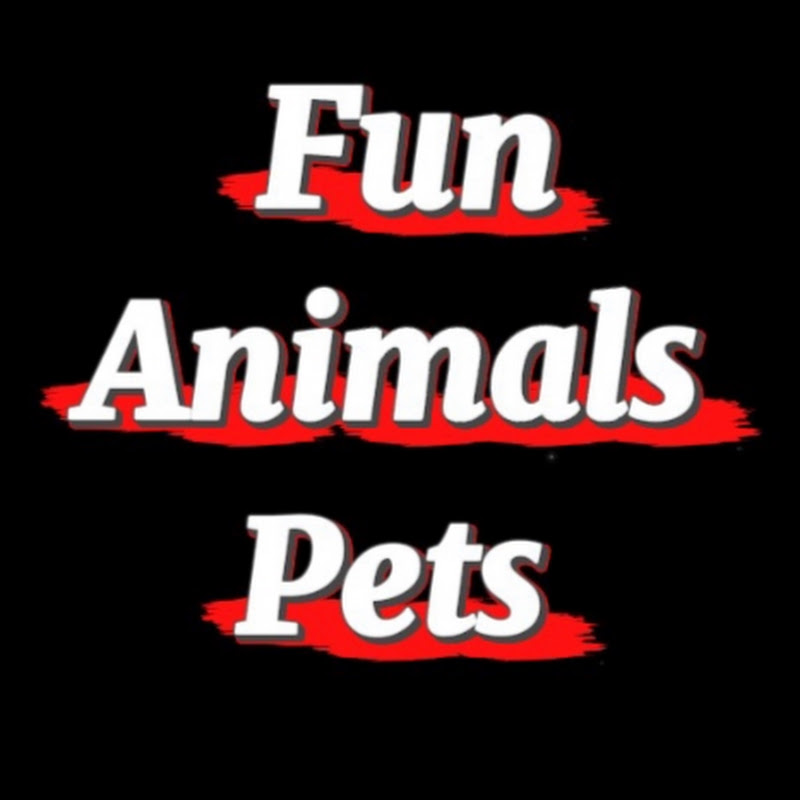 Fun Animals Pets 
