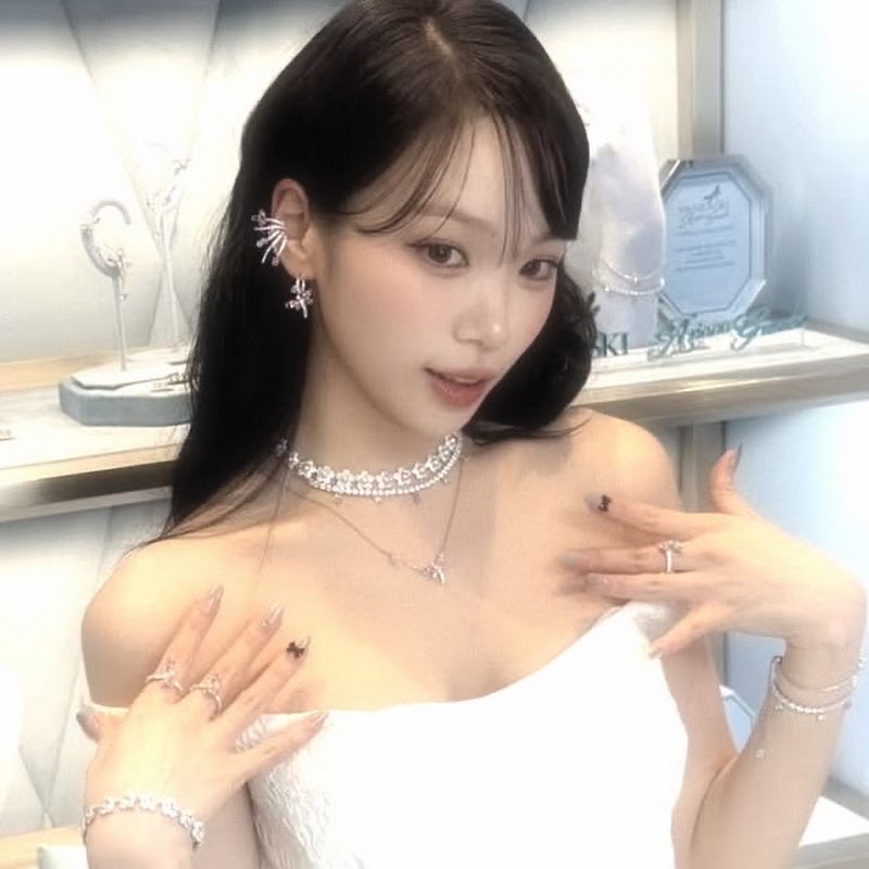 magnetticchae.