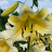 @blueSky-gg7gf