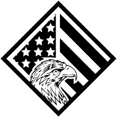 The Gaming Patriot