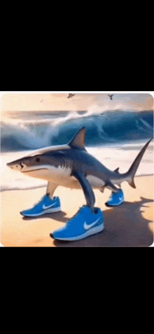 Волосатые русские письки порно видео