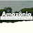 Amazônia Sobrevivência Primitiva