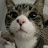 @MaryTheKitten