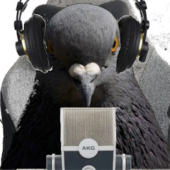 Pigeon Builds
