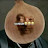 Avatar de @doliveira_7